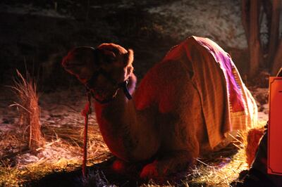 Scenes from the Bonneville Glen Nativity in 2017.