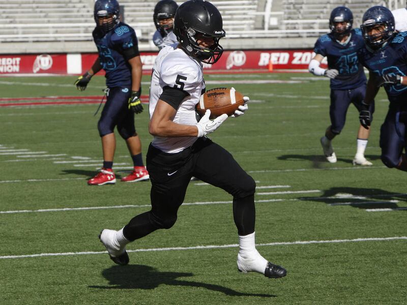 Pine View High School defeats Juan Diego 48-42 in overtime of the State 3AA High School semi-final football game Thursday, Nov. 14, 2013, in Salt Lake City.