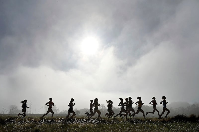 Runners in the women's race are silhouetted against a foggy background during the John McNichols Invitational on Saturday, Sept. 21, 2024 at the LaVern Gibson Championship Cross Country Course near Terre Haute, Ind.