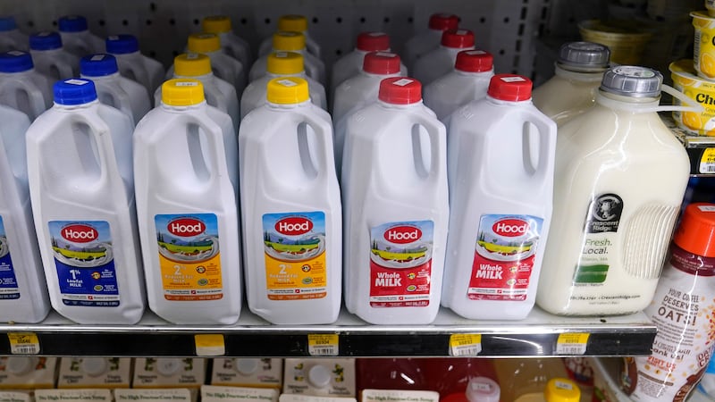 Jugs of milk are displayed in a refrigerated section at Lambert’s Rainbow Market, in Westwood, Mass.