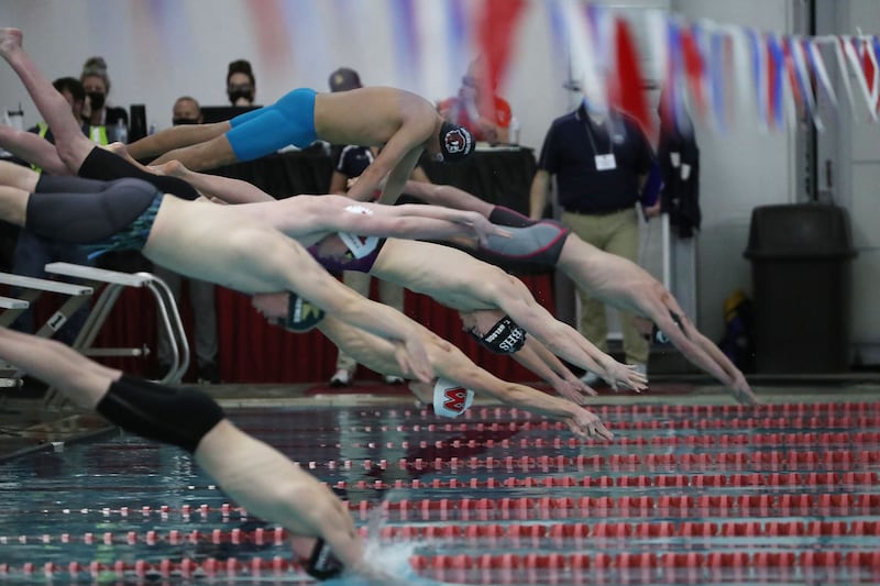 Swimmers dive into the pool