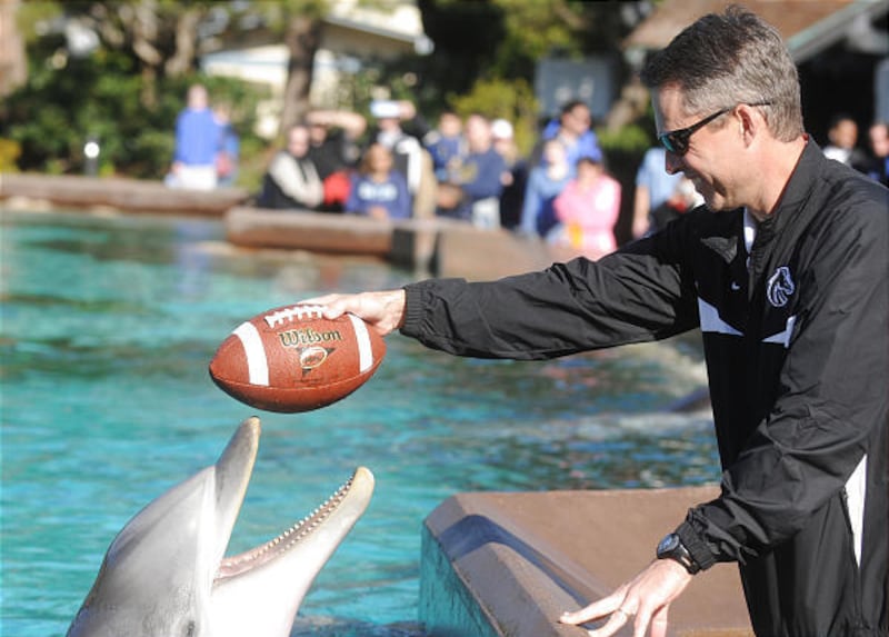 Boise State coach Chris Petersen holds a football out for Deke the dolphin during a visit to Sea World for Poinsettia Bowl festivities.