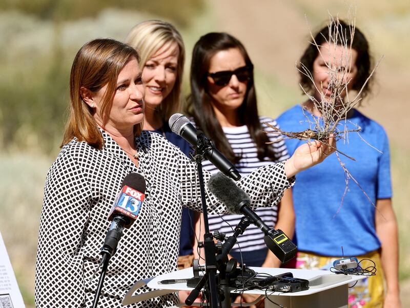 Salt Lake County Mayor Jenny Wilson holds up a piece of dry brush during a press conference on  June 21, 2021 in Sandy.