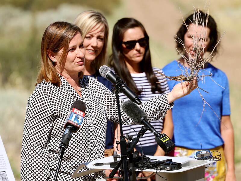 Salt Lake County Mayor Jenny Wilson holds up a piece of dry brush during a press conference on  June 21, 2021 in Sandy.