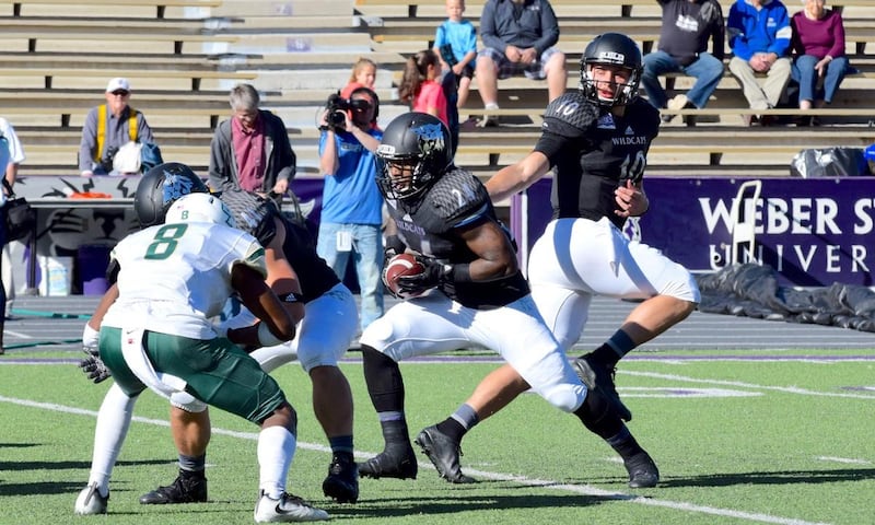 Weber State senior quarterback Jadrian Clark hands off to running back Emmanuel Pooler in the first quarter of Saturday's Big Sky Conference game with Cal Poly. The Wildcats won the game 22-15. Weber State is headed to the FCS playoffs, where it will play