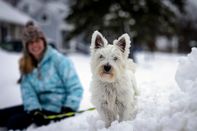 Marissa Kallevig plays with her dog Indy in Duluth, Minn.