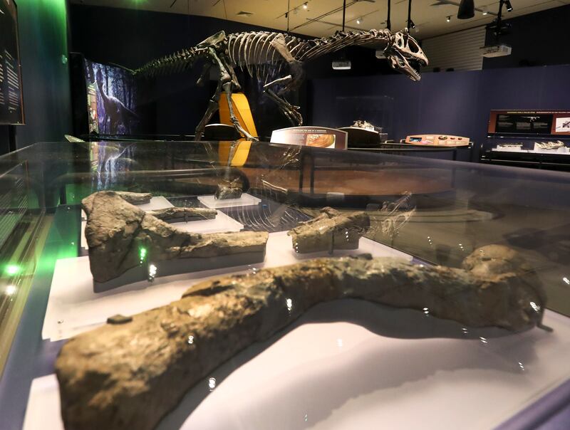 Australia made a big discovery when it comes to dinosaurs. Utah has made a similar one.