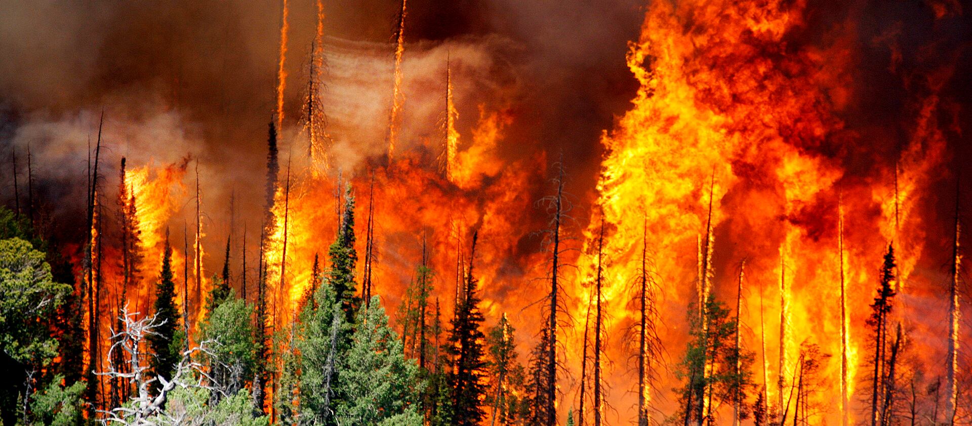 The Brian Head fire, pictured on June 23, 2017, burned roughly 27,000 acres and several homes and cabins in southern Utah.