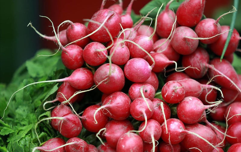 Radishes for sale at the Downtown Farmers Market at Pioneer Park in Salt Lake City on Saturday, June 14, 2014.