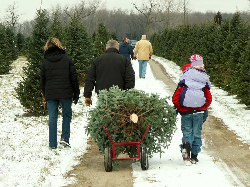 Brooke Romney writes of how trimming her traditions helped her rediscover the magic of Christmas.