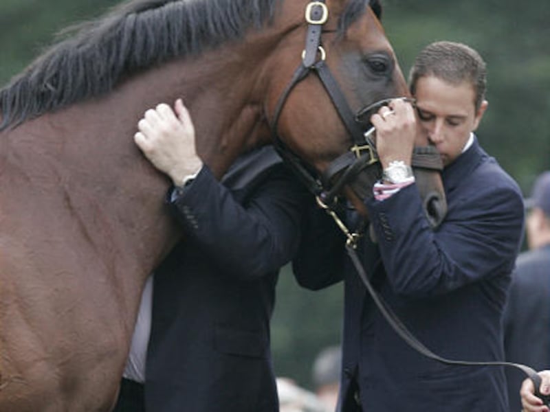 Bloodstock agent Frank Lyons and owner Michael Iavarone, right, hug Big Brown following the 140th Belmont Stakes on Saturday.