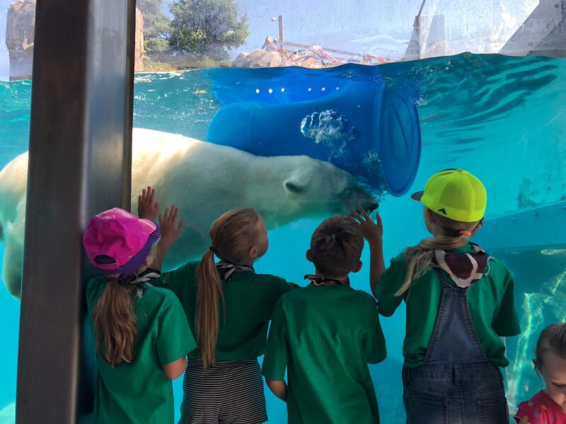 Utah Hogle Zoo summer camps give campers up-close encounters with zoo animals.