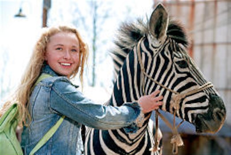 When a circus accidentally abandons a zebra, Channing (Hayden Panetierre) adopts it and names it Stripes.