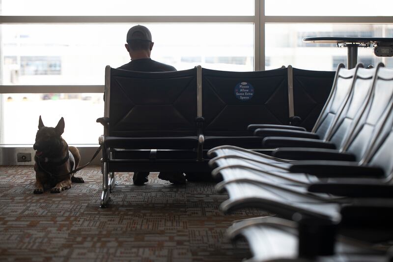In this June 2, 2021, photo, a man sits next to a service dog at Ronald Reagan Washington National Airport in Arlington, Va.