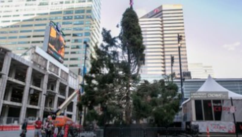 A Christmas tree in Cincinnati has been receiving some social media backlash this week since it seems like it lacks holiday spirit, according to WCPO.