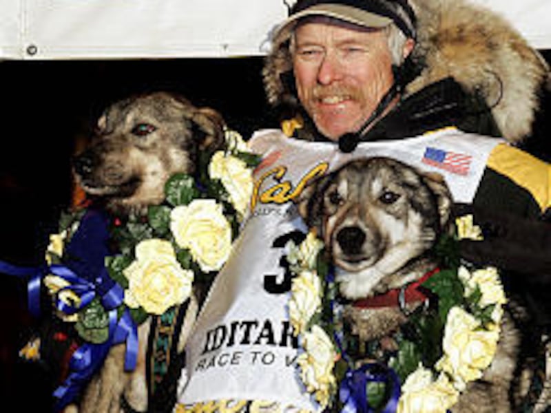 Jeff King holds his lead dogs Salem, left, and Bronte at the finish line of the Iditarod Trail Sled Dog Race in Nome, Alaska, after winning for his fourth time.