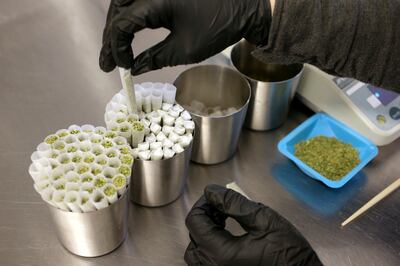 Worker Emma Caron, of Hopedale, Mass., weighs and prepares medicinal cannabis cigarettes Thursday, July 12, 2018, at the Sira Naturals medical marijuana cultivation facility in Milford, Mass.