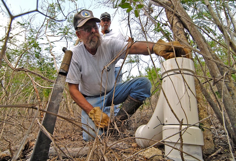 A Dallas resident has a case of the viral illness after returning from Nigeria.