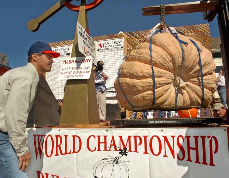 Steve Daletas, of Pleasant Hill, Oregon, watches a crane put his winning 1,180-pound pumpkins on a scale during the Half Moon Bay Great Pumpkin Weigh-Off in Half Moon Bay, California, Monday, Oct 13, 2003. He won a prize of $5,900 for the Half Moon Bay re