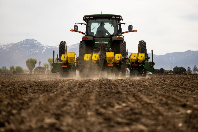 Ron Gibson drives a tractor while planting a field with corn in Ogden.