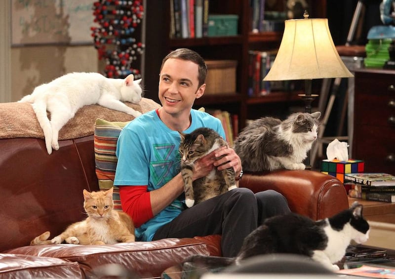 Beyond bipolar, characters on "Community" and "The Big Bang Theory" are undiagnosed, but frequently said to have forms of advanced autism.