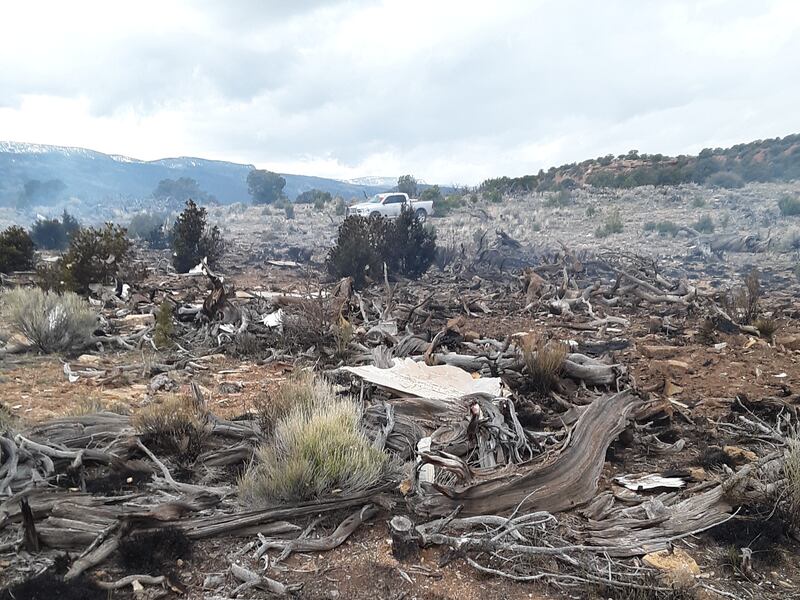 Two people died in a small plane crash outside Grover, Wayne County, on Friday, May 24, 2019.