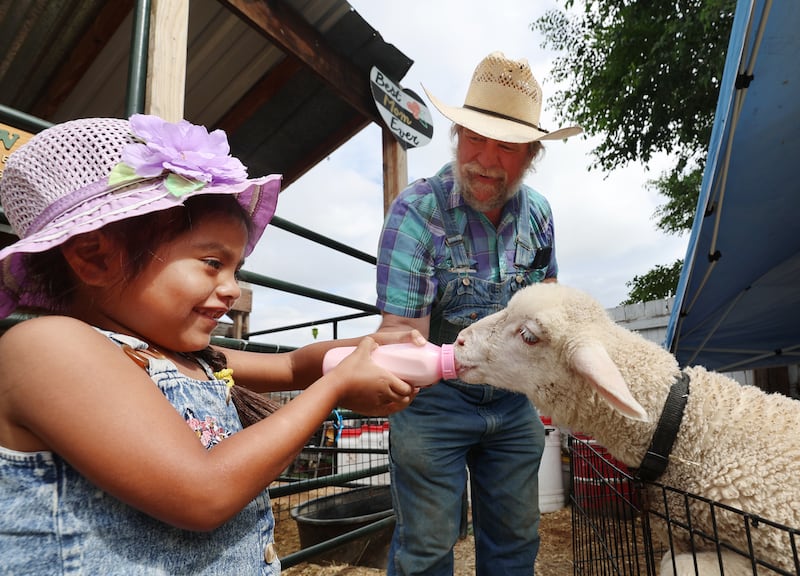 Sammy Valerio feeds a bottle of milk to a lamb with the help of Gil Ma, director of The Farm at Gardner Village in West Jordan, on June 20, 2023.