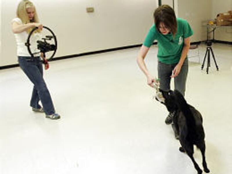 Vicki Preece, left, and Mandy Apodaca, the Humane Society outreach coordinator, play with Blaze at the Humane Society.