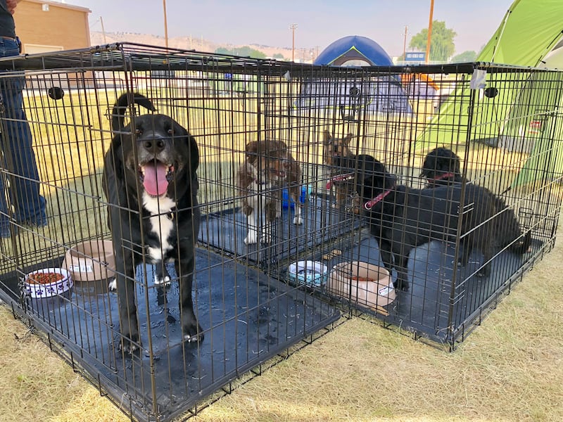 About three dozen people spent the night at Duchesne High School Tuesday evening, the site of the Utah Red Cross' evacuation shelter for the Dollar Ridge fire. Shelter managers said most displaced residents who spent the night there on Tuesday chose to pi