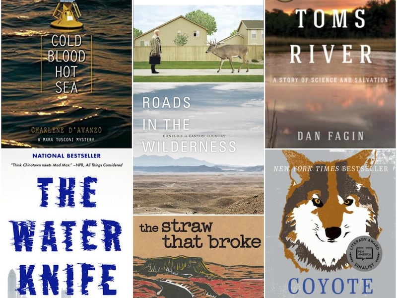 Cindy Lund, of the Insights to Conservation book club, recommends these seven novels.