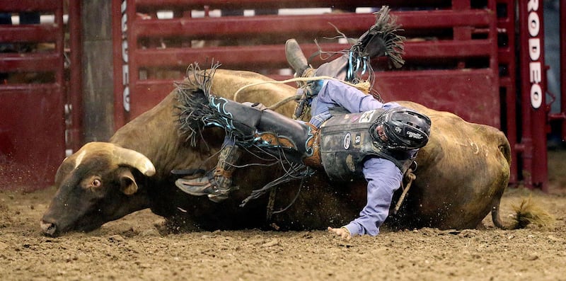 Cole Echols, , from Dodge , TX, rides Lil' America who twisted to the ground and Echols was awarded a re-ride in the bull riding during the opening night of the Days of '47 rodeo in the Energy Solutions Arena July 21, 2015, in Salt Lake City.