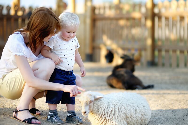 FILE - The Davis County Fair kicks off Wednesday, Aug. 15, at the Legacy Events Center, 151 S. 1100 West.