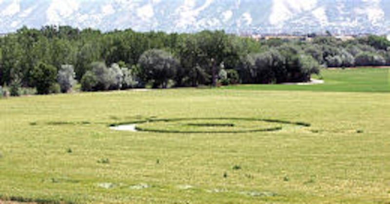 A large circle turned up in a wheat field between Salem and Spanish Fork.
