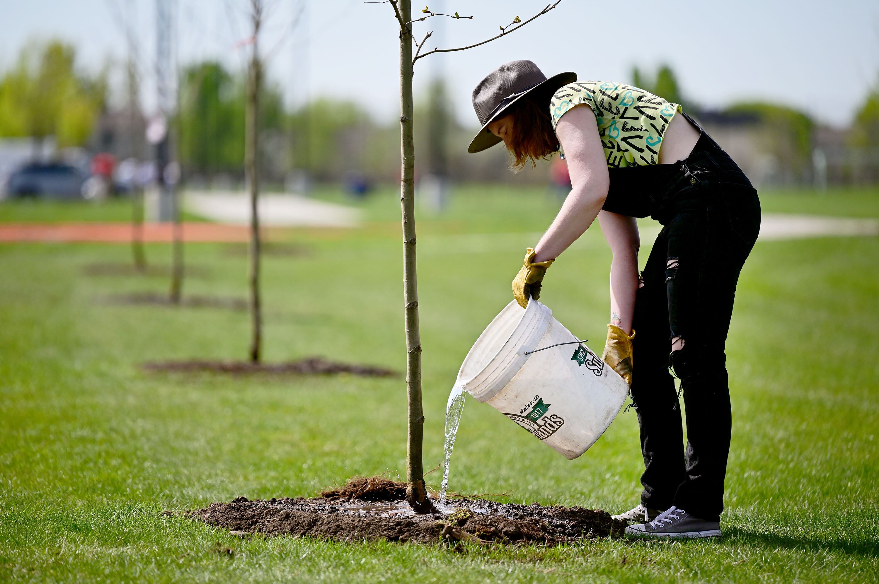 Earth Day 2024: 10 movies and documentaries about our planet – Deseret News - Vimarsana News