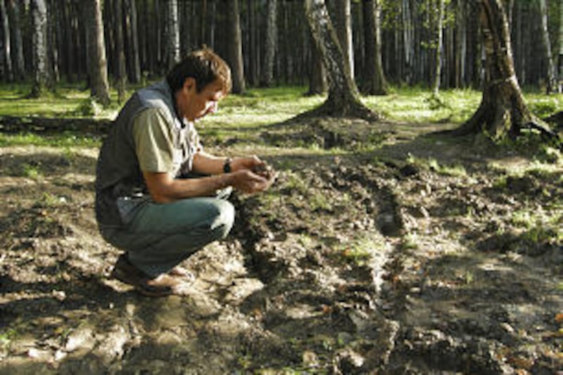 Local villager Andrei Sidikov squats at the spot where the remains of Czar Nicholas II's son and heir to the throne may have been found near Yekaterinburg, Russia. The remains of a young woman - possibly the boy's sister - were also found.