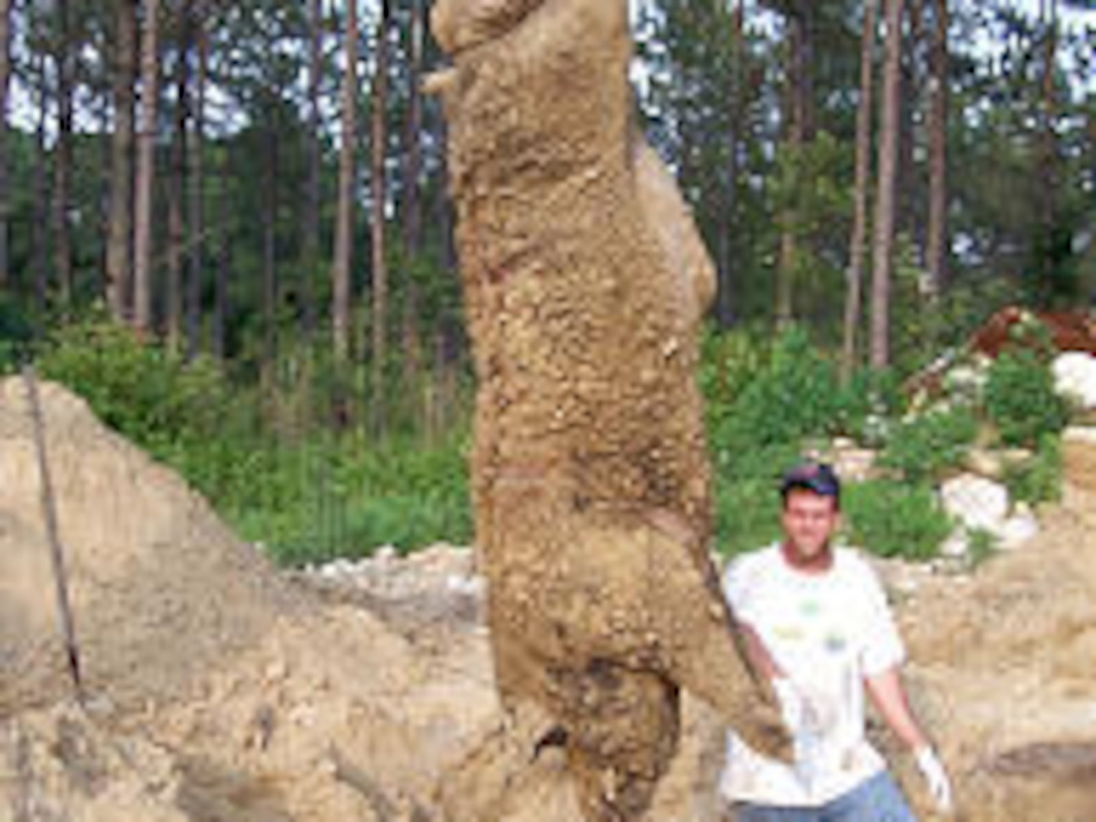 Experts Say Hogzilla Was Real And Big Deseret News experts-say-hogzilla-was-real-and-big-deseret-news