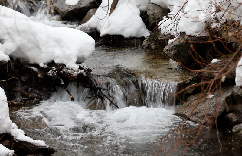 Water flows through Mill Creek in Millcreek Canyon on Wednesday, Feb. 21, 2024.