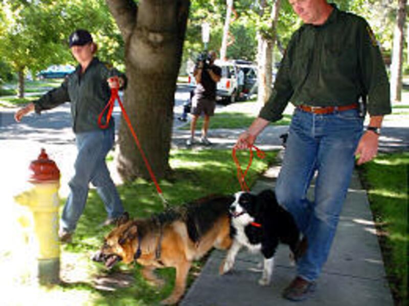 Police officers and dogs leave the Salt Lake apartment of Mark and Lori Hacking after searching it for clues.
