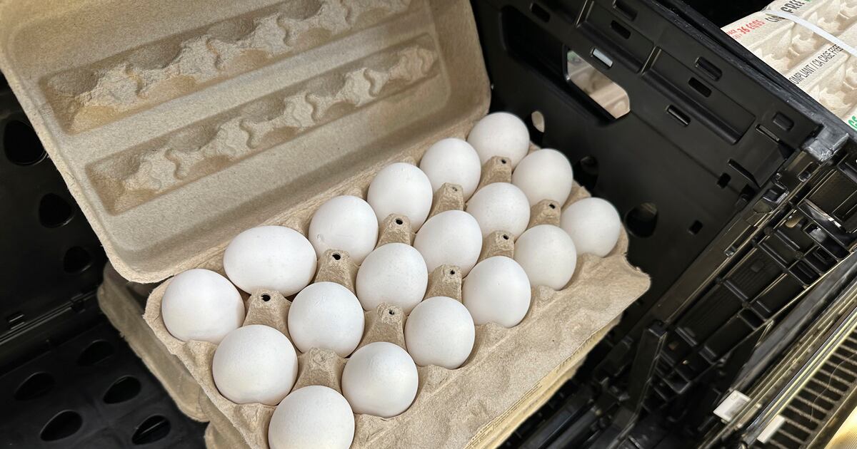 Eggs not be the villain in the high-cholesterol saga: Study - Deseret News