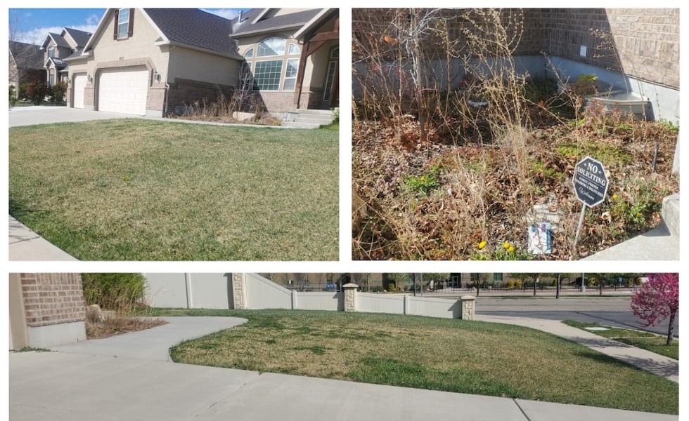 Utah Homeowners Rethink Yard Renovations Beyond Grass Removal