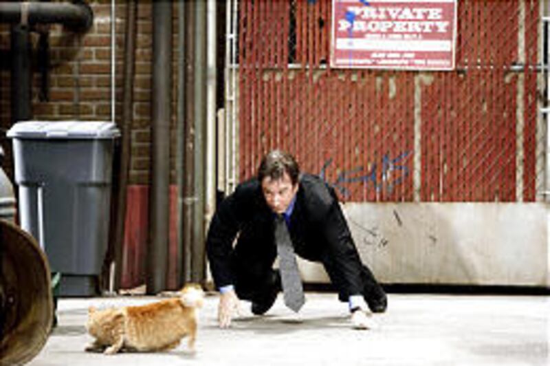 Tim Allen finds himself unwillingly transformed into "The Shaggy Dog."