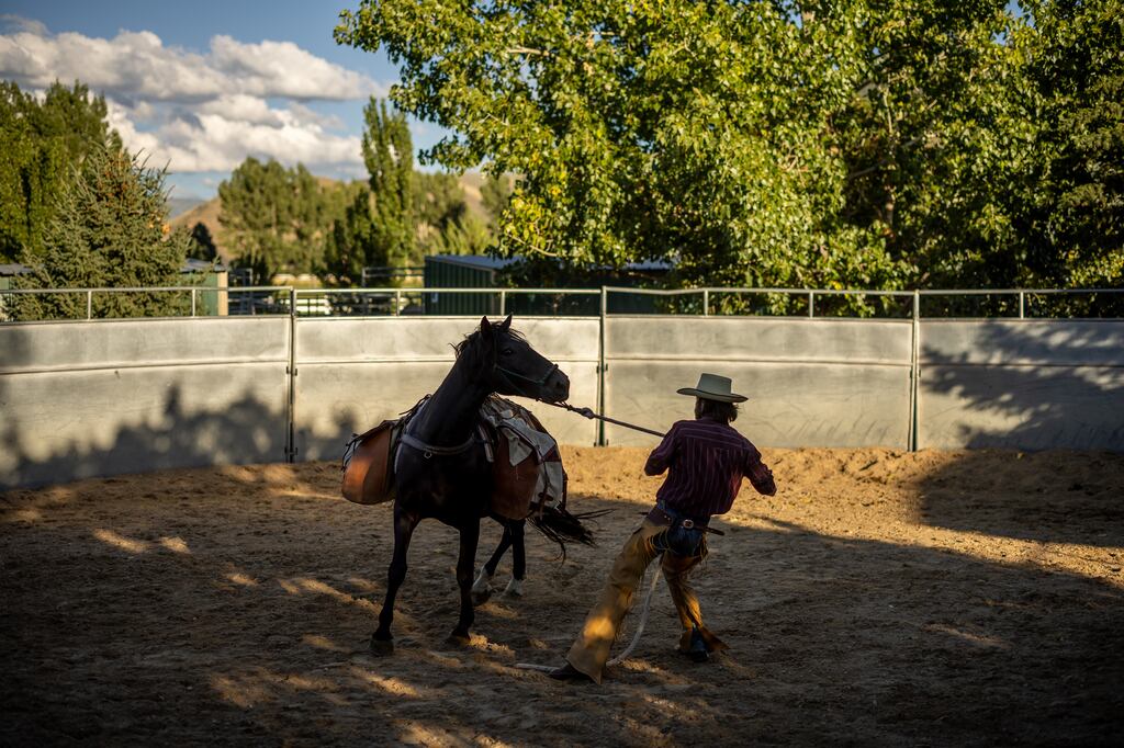 Why this Utah horseman is riding 3 mustangs across the U.S. and back ...