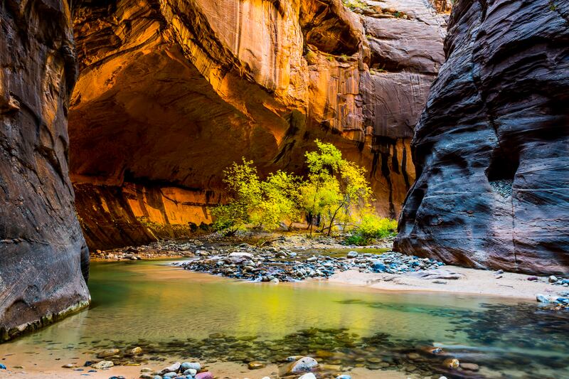 The Narrows, Zion National Park