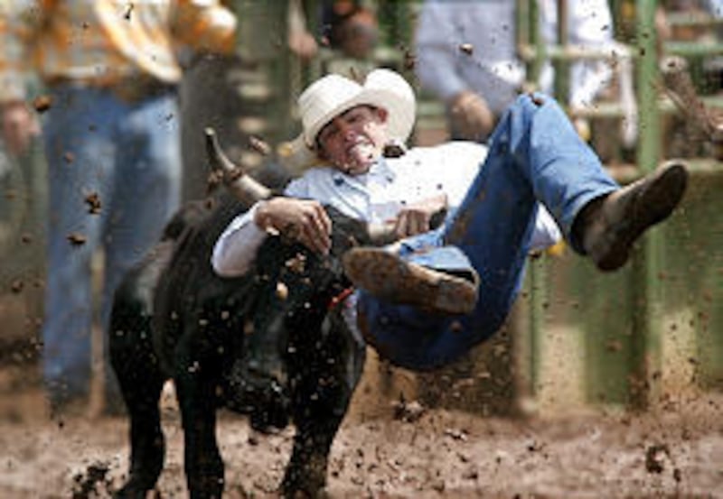 Baylor Roche competes in the steer wrestling section of the Utah High School Rodeo finals at the Wasatch County Fairgrounds in Heber City. The rodeo will conclude its run of events, crowning state champions today.