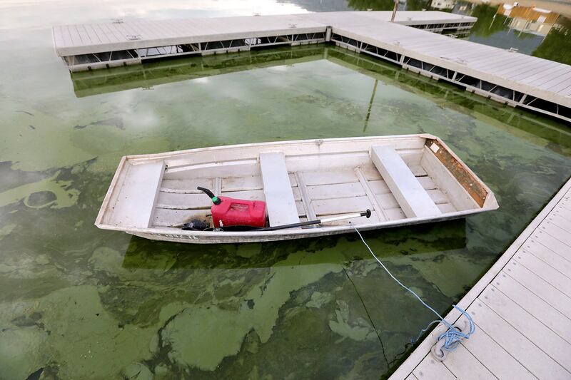 Algal blooms are pictured in Utah Lake at the Lindon Marina in Vineyard on Monday, July 19, 2021. It has been a problem for the lake for years.
