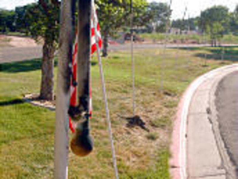 Flags that were gathered by Boy Scouts were desecrated by an unidentified person. Police say the culprit was caught on tape.