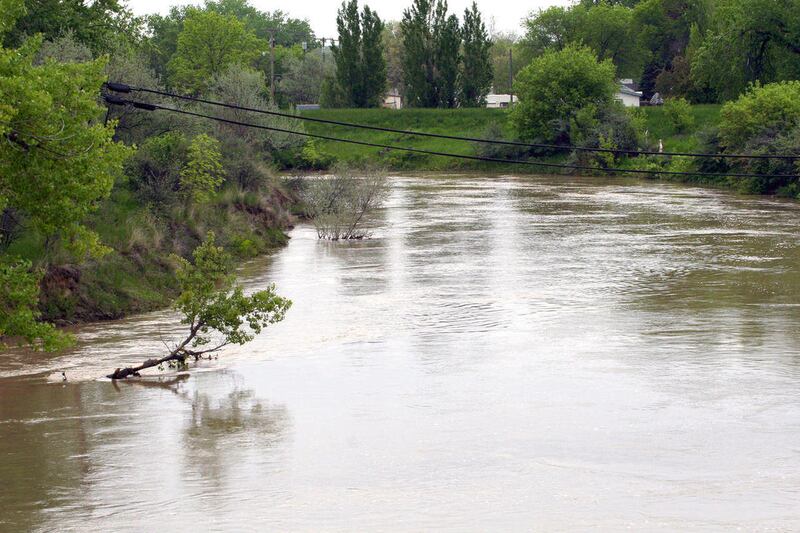 In this Thursday, June 9, 2011, photo, water of the Milk River touches the tops of its banks as it flows east in Havre, Mont.