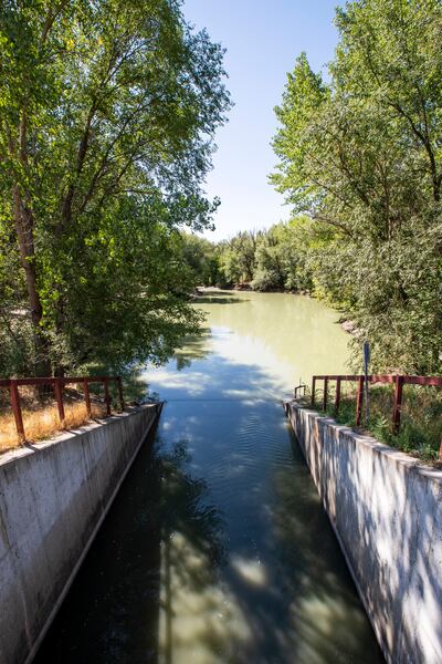 Water runs in the creek at Wheeler Historic Farm in Murray on Tuesday, Aug. 28, 2018. Dangerous algae has been identified in the water.
