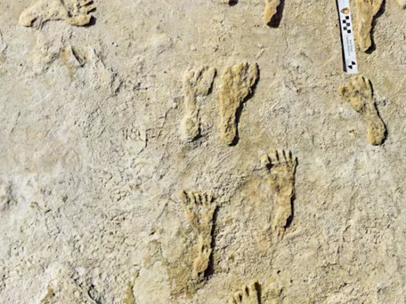 Footprints are pictured at White Sands National Park in New Mexico.