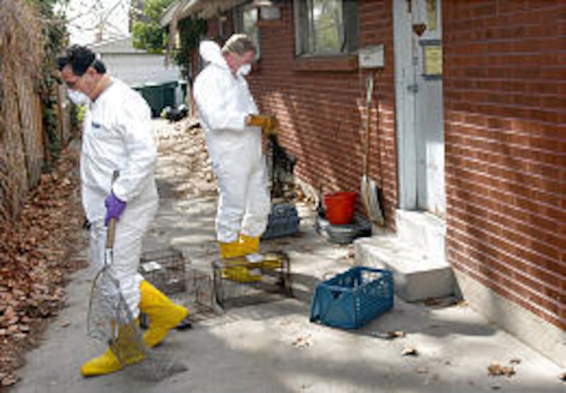 Animal Services workers John Lovato, left, and Troy Wood leave a home officials say was overrun with cats.